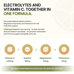 Electrolyte Defense Powder